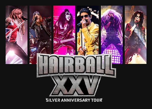 More Info for Hairball